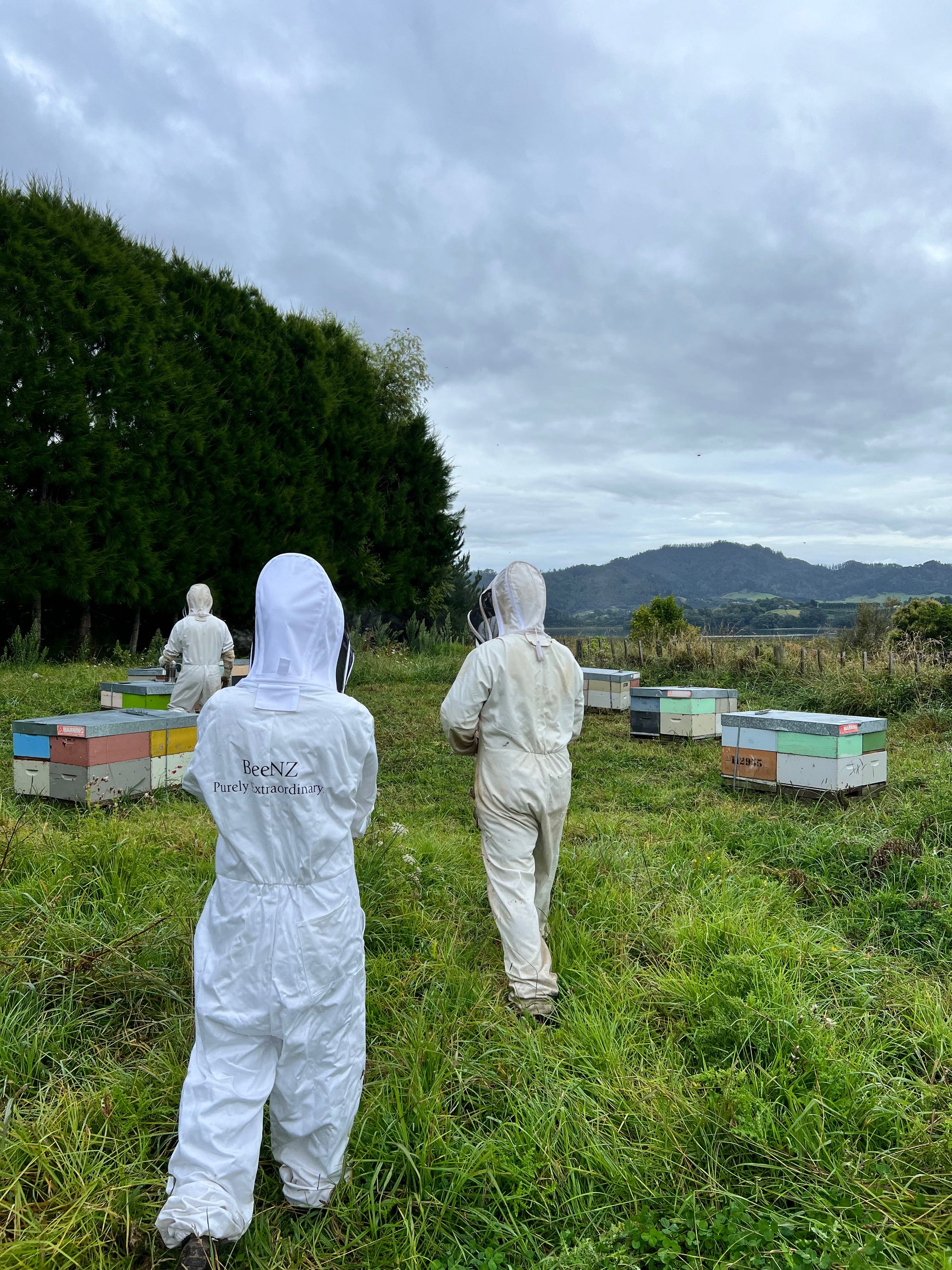Apiculture New Zealand recognized women in apiculture