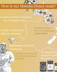 BeeNZ UMF5+ Mānuka Honey (MGO 83+)