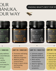 BeeNZ UMF Grading Scale for Mānuka Honey – Visual Comparison of UMF 5+, 10+, 15+, and UMF20+ Grades Showing Differences in MGO Levels, Antibacterial Strength, Flavor Intensity, and Recommended Uses