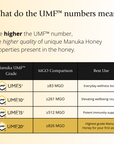 BeeNZ Raw UMF 20+ (MGO 826+) Mānuka Honey 8.8oz – Premium NZ honey with UMF grading chart showing UMF 5+ to 20+ differences in MGO, strength, flavor & uses.