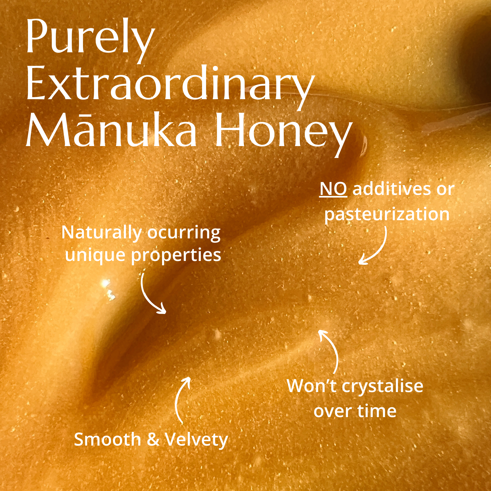 BeeNZ Raw UMF Certified NZ Mānuka Honey – Creamy texture, earthy flavor, supports immune & gut health, wound care, and overall natural well-being.