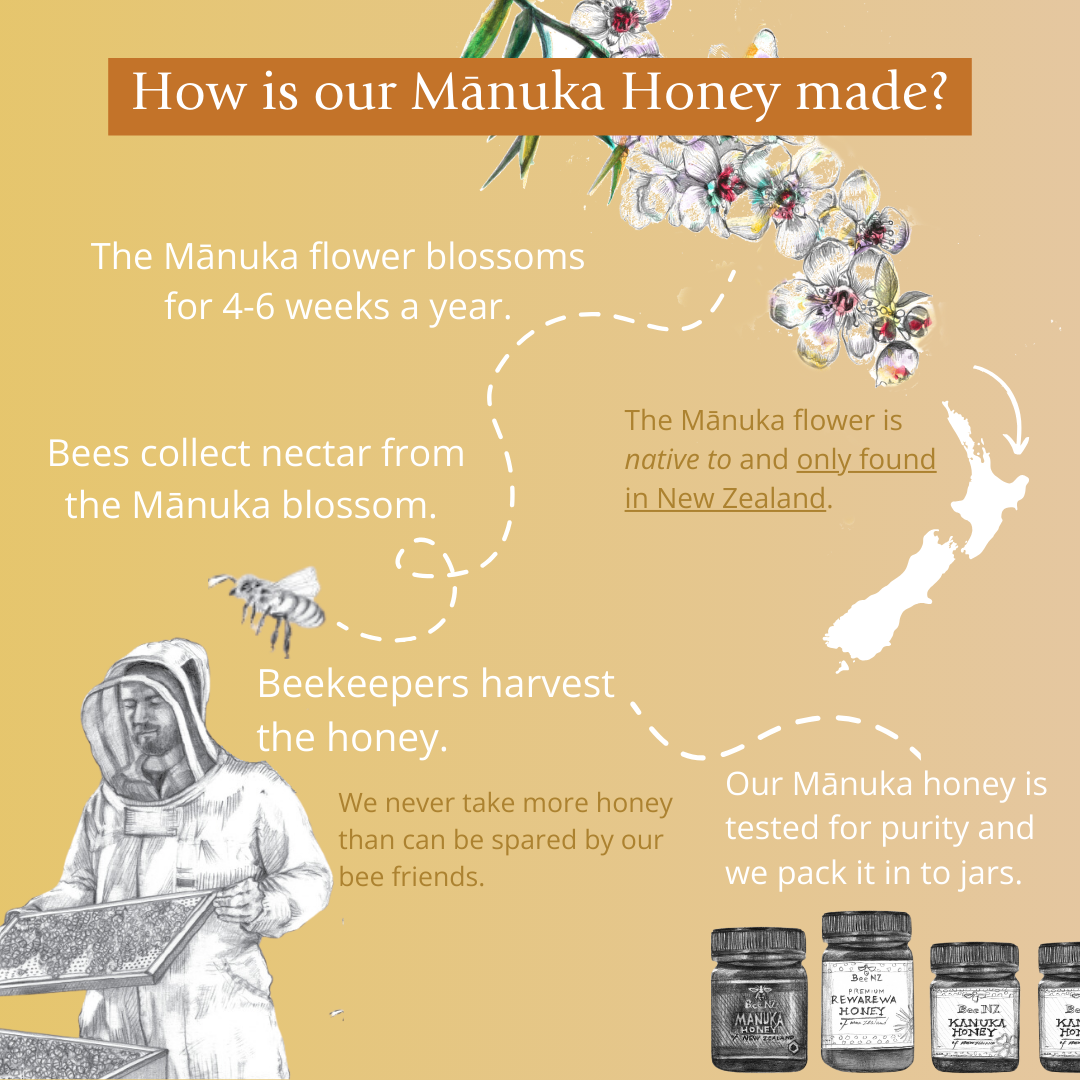 BeeNZ Raw UMF Certified Mānuka Honey UMF 15+ (MGO 261+) 8.8oz – B Corp Certified NZ honey with mild earthy flavor, wellness support, natural sugar swap, hive-to-home traceability.