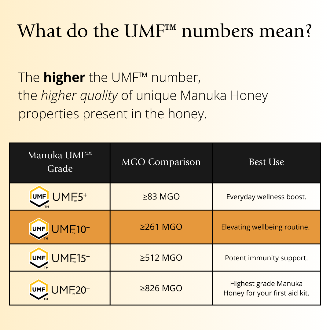BeeNZ Raw UMF Certified Mānuka Honey UMF 10+ (MGO 261+) 8.8oz – Visual guide comparing UMF 5+, 10+, 15+, 20+ showing MGO, antibacterial strength, flavor, uses.