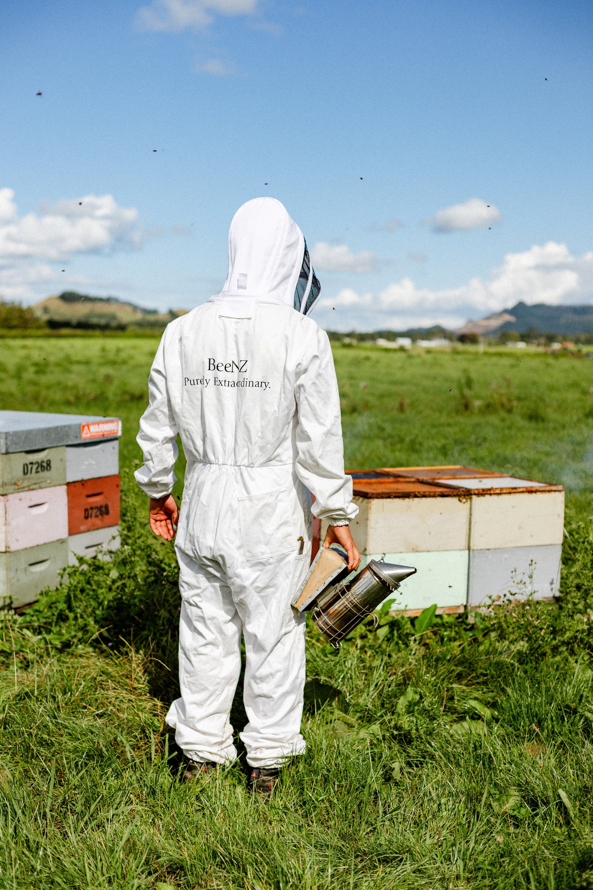 Person in a white beekeeping suit standing in a field with bee hives.